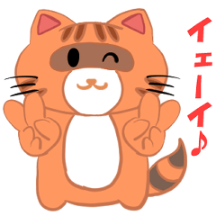 [LINEスタンプ] Newたぬねこクオちゃん 第1弾