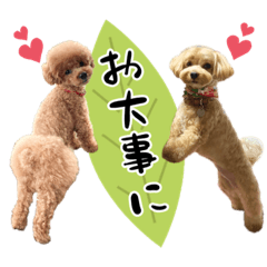 [LINEスタンプ] よつば♡ペニー☆仲良しスタンプ0110