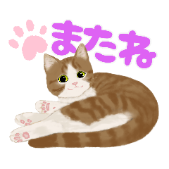 [LINEスタンプ] うちの猫(コ)、茶トラ白にゃんこ