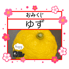 [LINEスタンプ] みかんfeat.ゆず