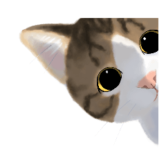 [LINEスタンプ] うちの猫(コ)、キジ白にゃんこ