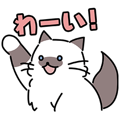 [LINEスタンプ] 長毛猫のきゅーすけ