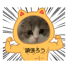 [LINEスタンプ] スコティッシュのメルちゃん
