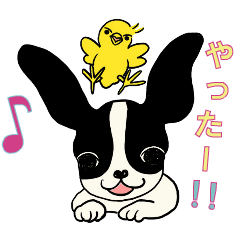 [LINEスタンプ] 仲良しひよこブル（修正版）