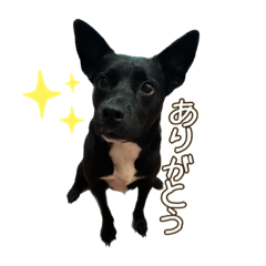 [LINEスタンプ] イヌズ