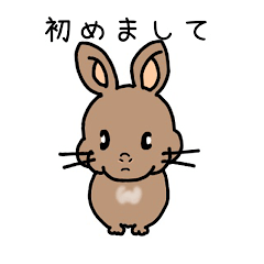 [LINEスタンプ] 少し丁寧なうさぎ