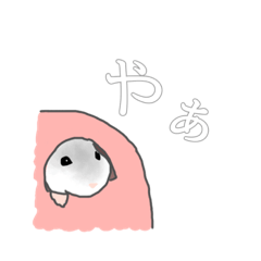 [LINEスタンプ] ハムスターのおこめくん