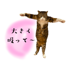 [LINEスタンプ] はげまし太郎