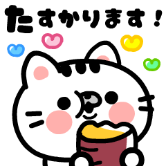 [LINEスタンプ] 背景が動く♪おやじとニャー年中使える敬語