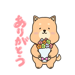 [LINEスタンプ] ほのぼのイヌ♡毎日使える♡