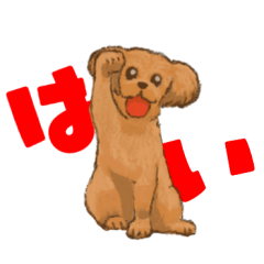 [LINEスタンプ] メッセージ犬（トイプー）