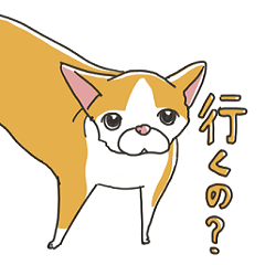 [LINEスタンプ] ぱっつんチワワ、スモンチ