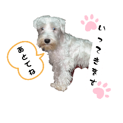 [LINEスタンプ] う和ーフレンズ2