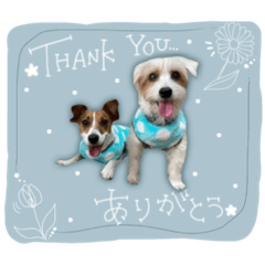 [LINEスタンプ] Bambi.churaさん