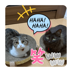 [LINEスタンプ] あわゆい姉妹