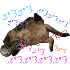 [LINEスタンプ] ぽちゃ猫アリスwithふうた