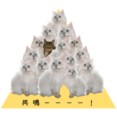 [LINEスタンプ] レイキはじめますwith波動にゃんこ