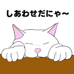 [LINEスタンプ] よく使う言葉を集めたネコちゃんスタンプ