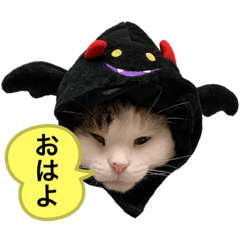 [LINEスタンプ] ねこ師匠3