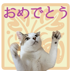 [LINEスタンプ] My cats Gabo and Gov4【修正版】