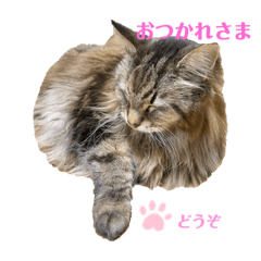 [LINEスタンプ] ジャッキーは女王さま