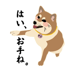 [LINEスタンプ] はらぺこ犬チミー