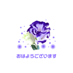 [LINEスタンプ] かわいいお花38コ＆鳥さん2コ