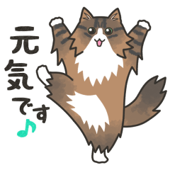 [LINEスタンプ] 40匹のねこの、Withコロナな日常！