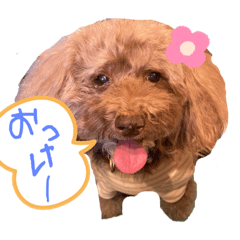 [LINEスタンプ] Pichan12