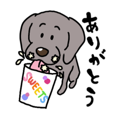 [LINEスタンプ] ゆるゆるワイマラナー