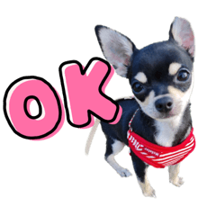 [LINEスタンプ] ヨルくんとエギくん
