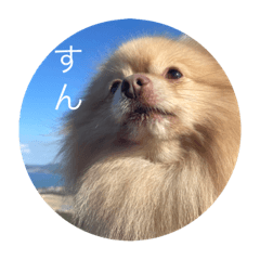 [LINEスタンプ] さとうさんの 日常