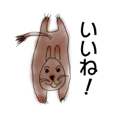 [LINEスタンプ] ゆるっとデグーのスタンプ