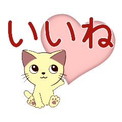 [LINEスタンプ] 年中使える猫スタンプ