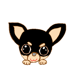 [LINEスタンプ] チワワのたぬこ