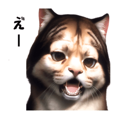 [LINEスタンプ] 猫の気持ちパート1