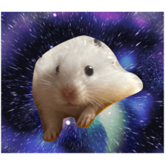 [LINEスタンプ] mopmopトンガリモップ号sutampu