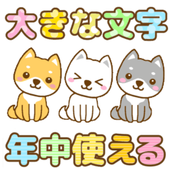 [LINEスタンプ] 柴犬三兄弟 年中使える大きな文字スタンプ