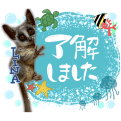 [LINEスタンプ] Linaさん