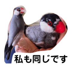 [LINEスタンプ] 桜文鳥わすけとフェルトのおともだち