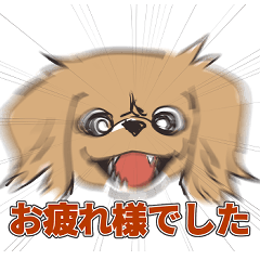 [LINEスタンプ] 犬のきなこ