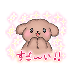 [LINEスタンプ] 年中使えるふんわ～りもこもこトイプードル