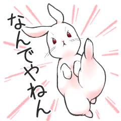 [LINEスタンプ] うさぎやねん 今日も元気