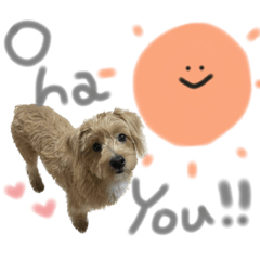 [LINEスタンプ] ウェスプーの花ちゃん