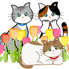 [LINEスタンプ] 猫と花いっぱい春の日常