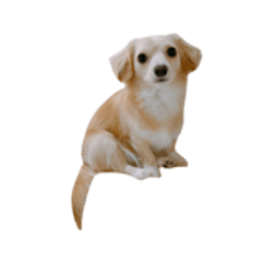 [LINEスタンプ] ころも さくさく (1さい)