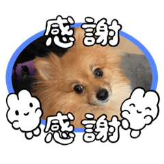 [LINEスタンプ] ぽん太スタンプㅎㅎ第2弾の画像（メイン）