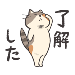 [LINEスタンプ] ねこといっしょ【日常】