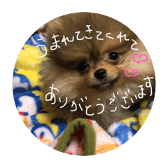 [LINEスタンプ] 日常で使えそうな陽（はる）スタンプ