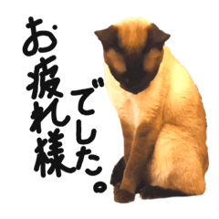 [LINEスタンプ] 空ちゃん海ちゃん1